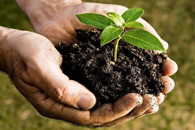 اجرای ۱۰۰ هزار هکتار مطالعات خاک شناسی در کشور در سال